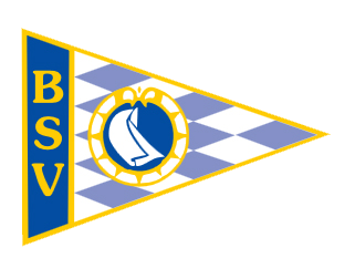 BSV-Logo Kopie